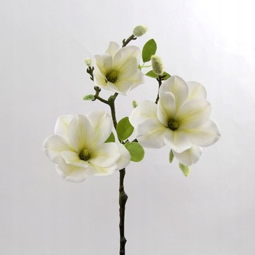 3Heads Otwarta gałązka kwiatu magnolii sztuczna