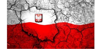 Белая патриотическая кружка Польша - различные дизайны