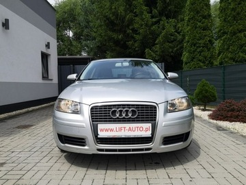 Audi A3 8P Hatchback 3d 1.9 TDI 105KM 2007 Audi A3 1.9 TDI 105KM Klima Elektryka Po wymianie, zdjęcie 1