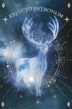 Harry Potter Expecto Patronum - plakat 61x91,5 cm