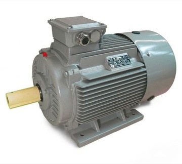 SILNIK ELEKTRYCZNY 3 FAZOWY 30kW 400V 2900obr B3