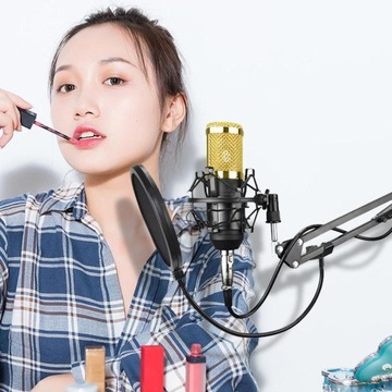 Конденсаторный микрофон для записи.