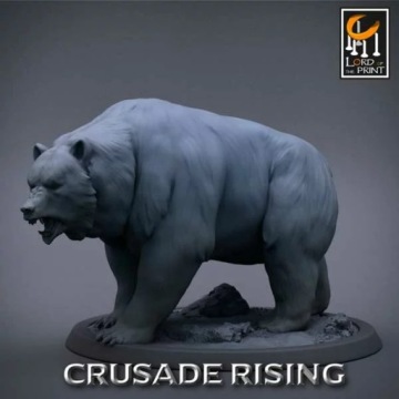 Дикие Медведи