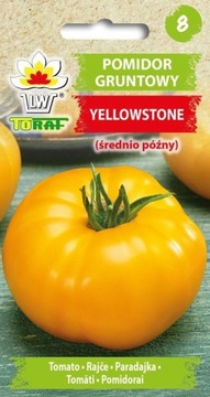 Pomidor gruntowy YELLOWSTONE - nasiona 0,3g