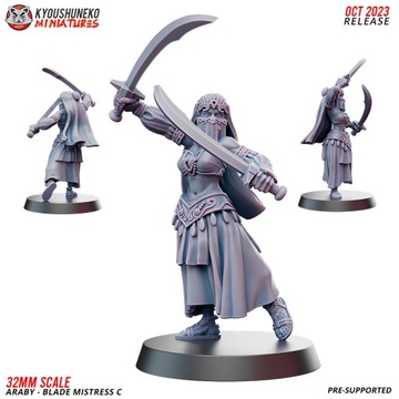 Araby Blade Mistress C Kyoushuneko Miniatures