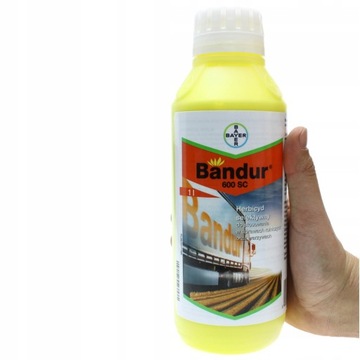 Bandur 600 SC 1l chwasty warzywa ziemniak marchew