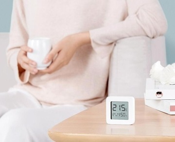 Xiaomi Mi Монитор температуры и влажности 2 Белый