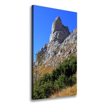Foto obraz na płótnie mały Giewont Tatry 50x100 cm