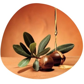 MOROCCANOIL Treatment Лечение аргановым маслом 25мл