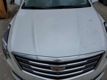 Cadillac 2019 Cadillac XTS Luxury 2019 3.6l 3.6 Benzyna 304KM, zdjęcie 6