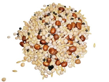 Mieszanka strączkowo-zbożowa na poplon AGRO - 10kg