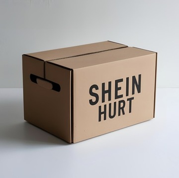 Pakiet odzieży SHEIN - HURT BOX - 2024/2025 - 50 SZT. 2024/2025