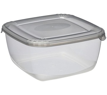 PLAST TEAM - Pojemnik POLAR - kwadratowy - 2,5 L