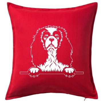 CAVALIER KING CHARLES SPANIEL poduszka prezent