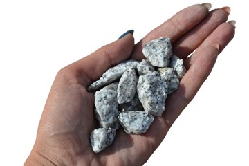 GRYS GRANITOWY NAKRAPIANY DALMATYŃCZYK 8-16mm 25kg