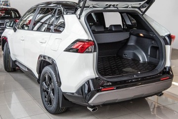 TOYOTA RAV4 V 2019-МУЛАС