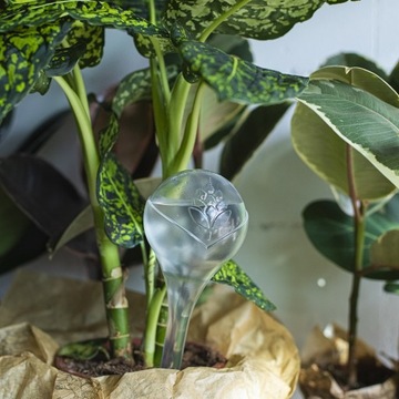 ШАРИКИ ДЛЯ ПОРОШЕНИЯ 400 мл для ЦВЕТОВ РАСТЕНИЙ 8 шт.