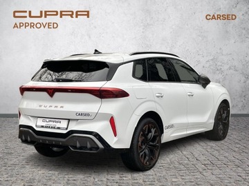 Cupra Terramar 2025 Cupra Terramar 2.0 TSI 204 KM DSG 4Drive/ Advantag, zdjęcie 6