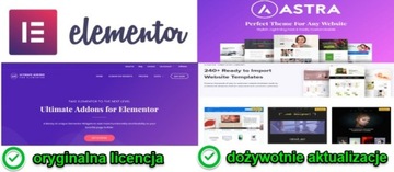 Дополнения ASTRA Pro Шаблоны Elementor автоматически обновляют оригинал лицензии