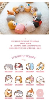 MOLANG Cute Rabbit 05 Series Фигурки Слепая коробка Guess Bag Caja Ciega Toys