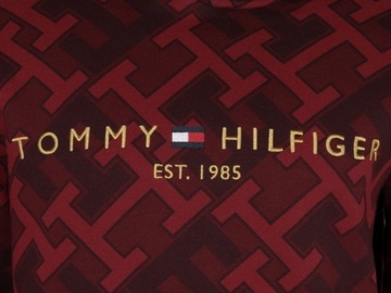 TOMMY HILFIGER bluza męska z kapturem, logo , S