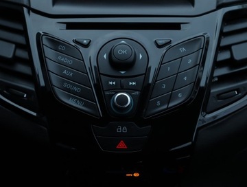 Ford Fiesta VII Hatchback 5d 1.6 Duratorq TDCi DPF 95KM 2013 Ford Fiesta 1.6 TDCi, Klima, zdjęcie 13