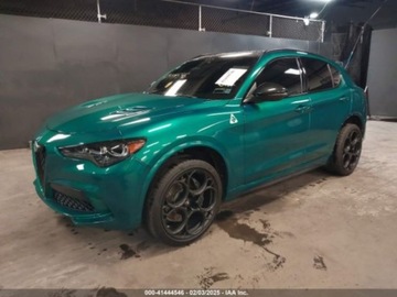 Alfa Romeo Stelvio 2024 Alfa Romeo Stelvio Quadrifoglio 2024 2.9l 2.9 Benzyna 505KM, zdjęcie 6