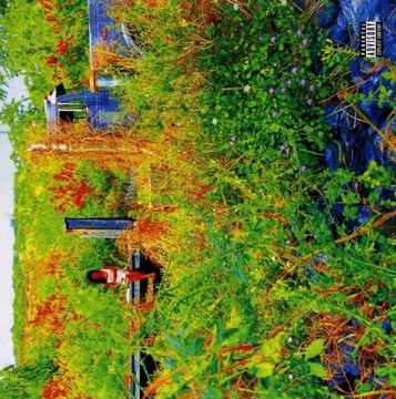 Jhene Aiko Trip 2 CD Super Klimatycznie We Dwoje