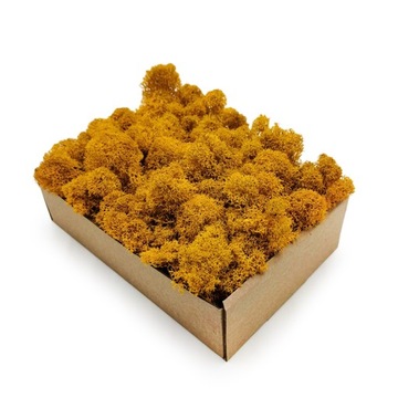 MECH CHROBOTEK Fiński OCZYSZCZONY 50g