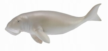 Diugoń przybrzeżny 88766 COLLECTA