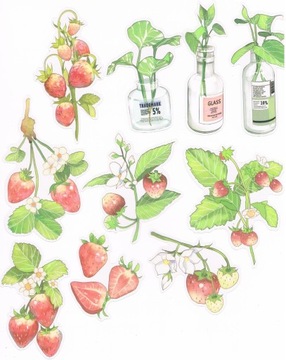 NAKLEJKI SCRAPBOOKING 10SZT TRUSKAWKI POZIOMKI