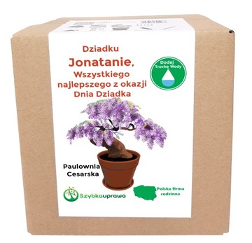 Zestaw BONSAI paulownia Dzień Dziadka Jonatan