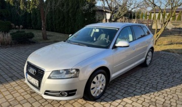 Audi A3 8P Hatchback 3d 1.2 TFSI 105KM 2010 Audi A3 Sportback Audi A3 8P 1.2 1.2 Benzyna 105KM Serwisowana