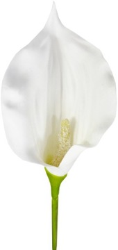 KALIA CALLA GUMOWA dł 60 cm KWIAT gałązka GUMOWY