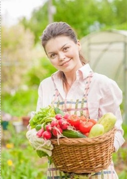 САДОВАЯ ФОЛЬГА ТУННЕЛЬ ТЕПЛИЦА 3х2х2м САДОВАЯ ФОЛЬГА ФОЛЬГА 6м2 БЕЛАЯ