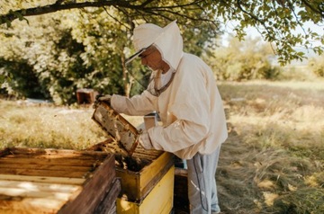 Великопольские рамки гнезд со шлангом Хоффмана FV, Великопольская рамка гнезда
