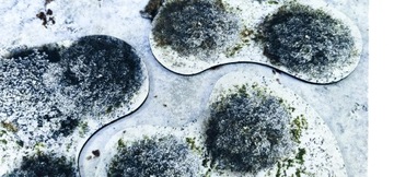 2D УНИВЕРСАЛЬНЫЕ ПЛОЩАДКИ - ЗИМНИЙ ЛЕС