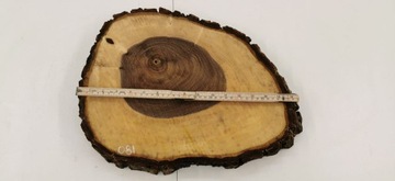 Срез грецкого ореха после высыхания 39х30см Столешница