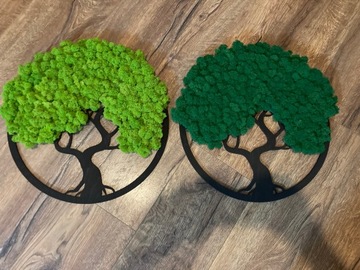 МОХ КАРТИНА СЕМЕЙНЫЙ БОНСАЙ ДЕРЕВО МОХ ЦЕЛЛИЗМ ЖИВАЯ ЖИВОПИСЬ ДЕРЕВО ЖИЗНИ