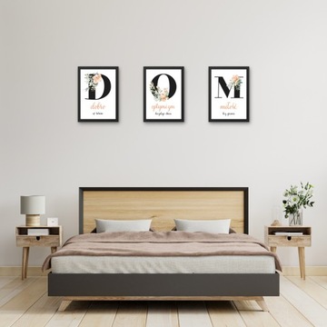 КАРТИНЫ ПОСТЕРЫ В РАМКЕ ДЛЯ ГОСТИНОЙ НА СТЕНЕ ЦВЕТЫ