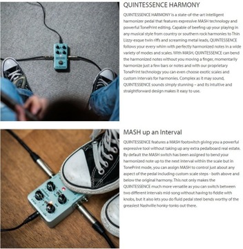 Quintessence Harmony Advanced Гармонизатор гитарных эффектов TC Electronic