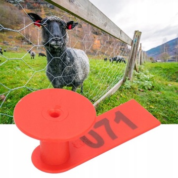 Серьги с номерами обозначают жетоны овец,