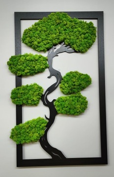 Дерево бонсай со мхом, красивый прямоугольный мох, 70х41.