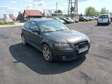 Audi A3 8P Hatchback 3d 2.0 TDI PD 140KM 2003