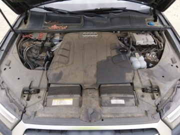 Audi Q7 II 2019 Audi Q7 2019 AUDI Q7 55 PREMIUM 3.0 Benzyna 329KM, zdjęcie 10