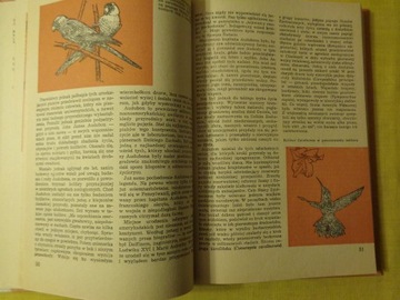 Король тасманских степей А. Трепка