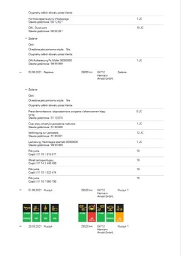 История обслуживания BMW VIN, дилерский пробег, PDF, 7 дней/7