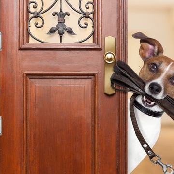 2 шт. ПРУЖИННАЯ ПЕТЛЯ ДВОЙНОГО ДЕЙСТВИЯ