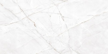 PŁYTKI ŁAZIENKOWE PODŁOGOWE MARMUR ROYAL VALENCIA SILVER GREY 60X120 POŁYSK