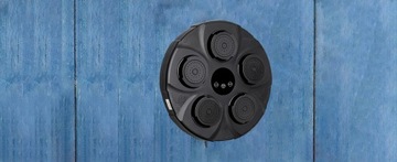 Музыкальный боксерский тренажер на тренировочной боксерской стене + боксерские перчатки